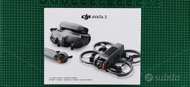Dji Avata 2 fly more combo