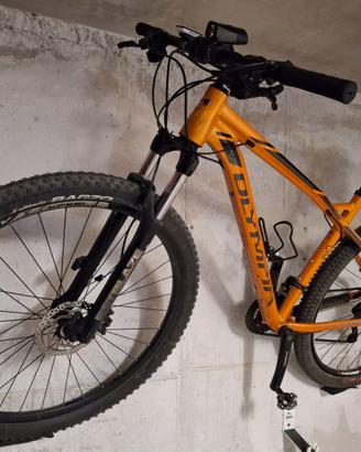 Mtb Olimpia Drake