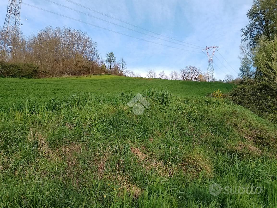 TER. AGRICOLO A MONTEMILETTO - Vista 3