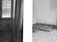 Immagine 7