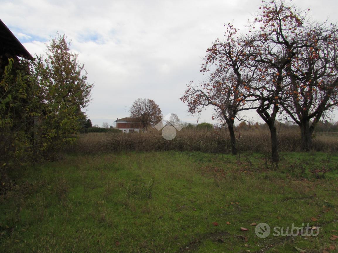 TER. AGRICOLO A SAN CESARIO SUL PANARO - Vista 4