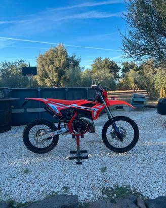 Beta RR 50 2024
