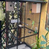 gabbia per uccelli