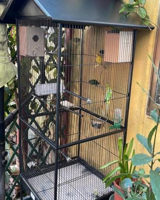 gabbia per uccelli