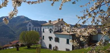 Villa Valle Biologico Liguria Tigullio