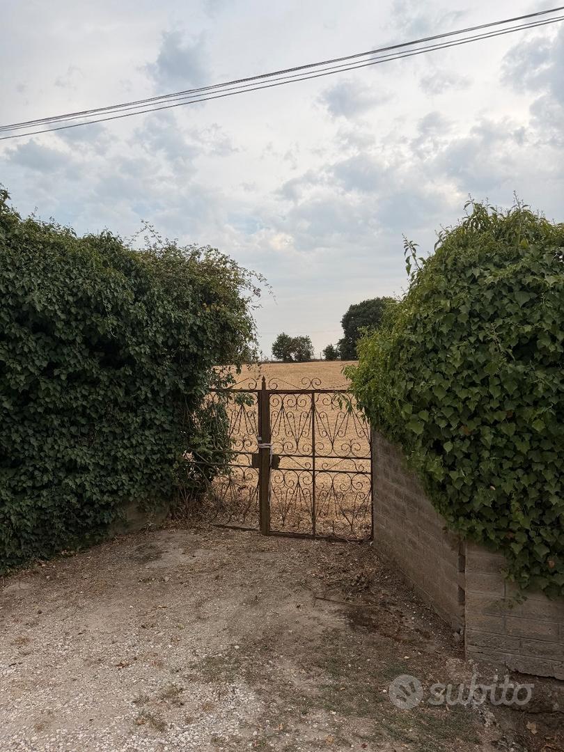 Terreno Agricolo - Vista 4