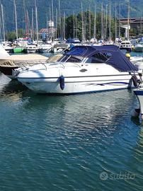 ranieri sea lady mercury 225 verado