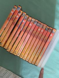 Lotto 16 DVD Dragon Ball Z + Dragon Ball GT