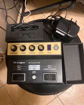 Roland EC-10M El Cajon