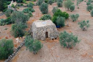 Terreno agricolo a Tuglie (LE)