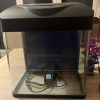 Acquario perfetto Eheim 54L (Tutto incluso)