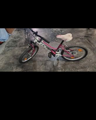 Bici da bimba misura 20