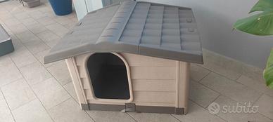 cuccia cane