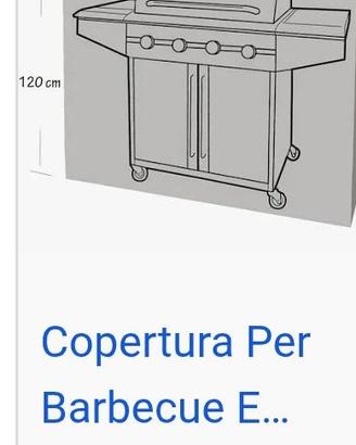 BARBECUE + COPERTURA
