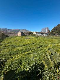 Terreno agricolo via Castelforte