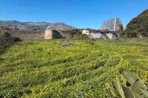 Terreno agricolo via Castelforte