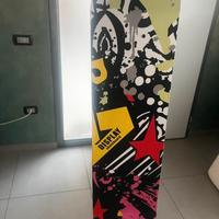 Skatebord