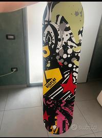 Skatebord