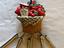 Immagine 2