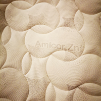 Coprimaterasso Memory Foam Amicor Zn