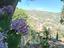 Immagine 25