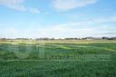 san-sperate-terreno-agricolo-29-900-mq