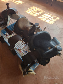 Cavalli: selle americane mis13 nuove leggi bene