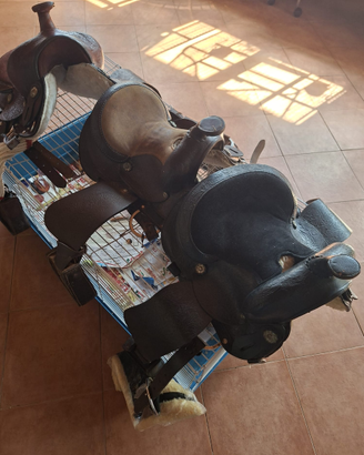 Cavalli: selle americane mis13 nuove leggi bene