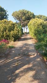 Terreno agricolo con abitazione