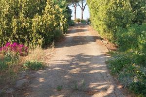 Terreno agricolo con abitazione