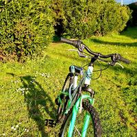 Bicicletta da bambino