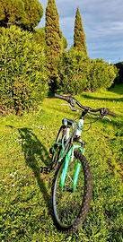 Bicicletta da bambino