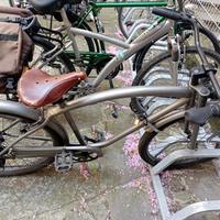 bicicletta da uomo chicano style