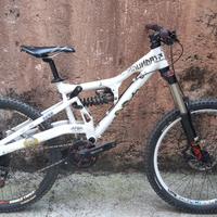 Cannondale Perp Taglia M