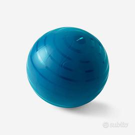 Fitball con pompa di gonfiaggio