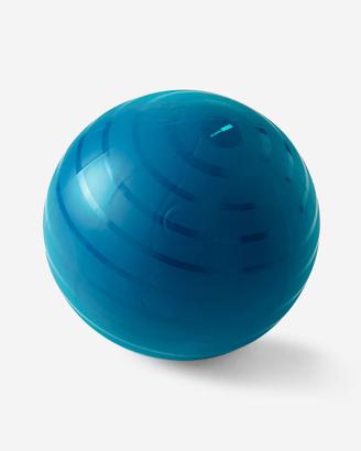 Fitball con pompa di gonfiaggio