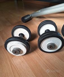 Pesi panatta da 6 e 8 kg