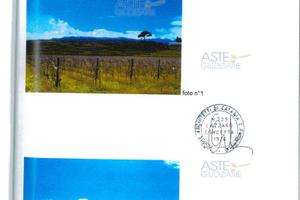 Terreno Agricolo Piedimonte Etneo [A4321269]