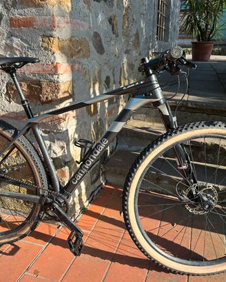 Cannondale fsi