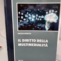 Il diritto della multimedialità