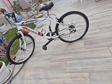 biciclette 