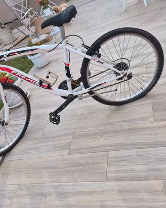 biciclette 