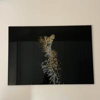 Quadro vetro leopardo