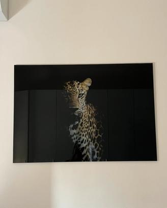 Quadro vetro leopardo