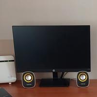 monitor hp 22 pollici