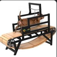 tapis roulant per cani 