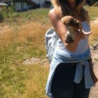 badante, Pulizie 