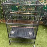 voliera cocorite pappagalli 