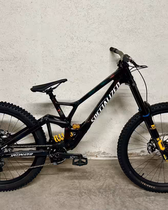 Specialized Demo Race