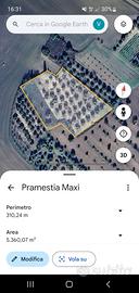 Terreno agricolo con Uliveto, Pauli Arbarei